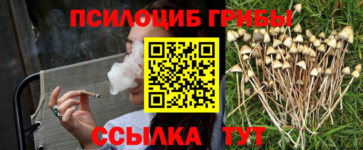 Галлюциногенные грибы ЛСД  Псилоцибиновые грибы ЛСД  Оренбург  Вход с VPN 