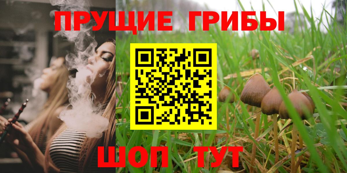 Псилоцибиновые грибы ЛСД Оренбург